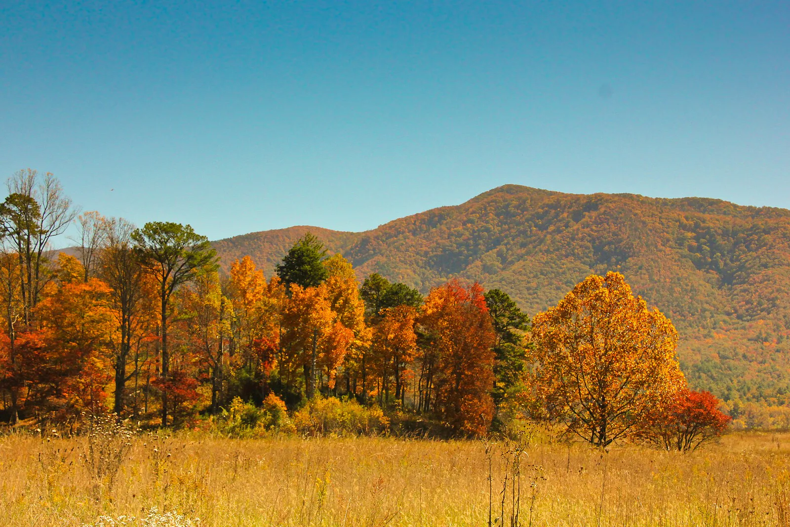 Cades Cove valley in fall color