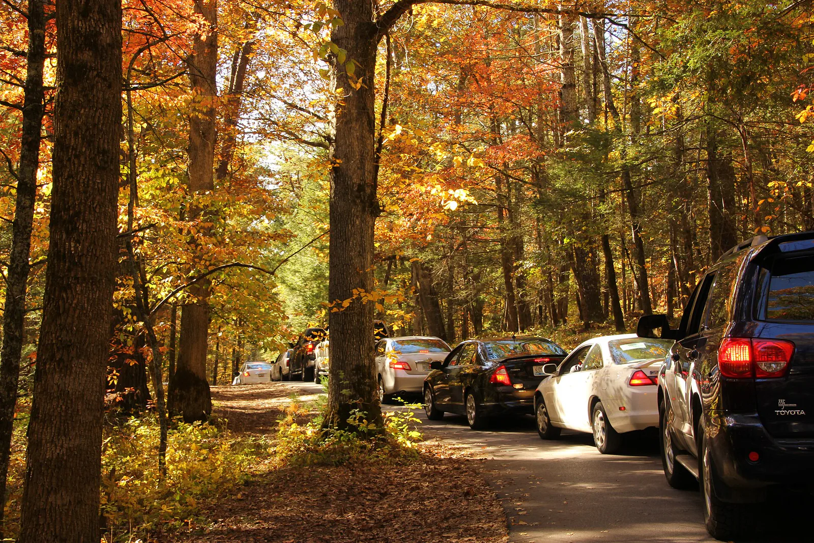 Exit and Return to Townsend in Cades Cove