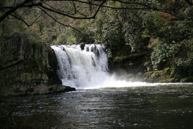 Abrams Falls surrounded by forest in Cades Cove