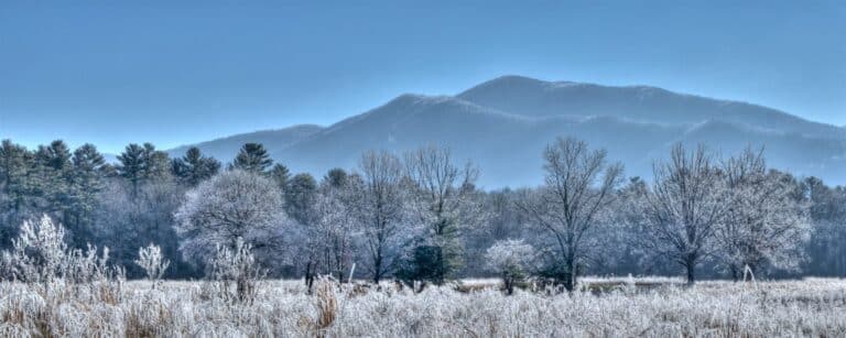 Frost-covered fields and bare trees in Cades Cove beneath the Smoky Mountains