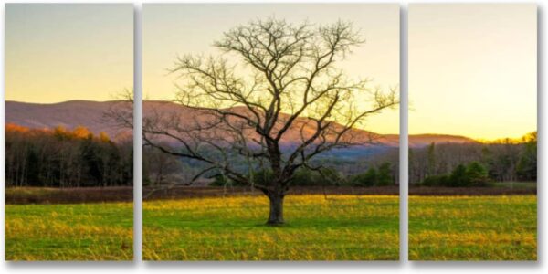 Cades Cove 3 Piece Canvas Art Prints