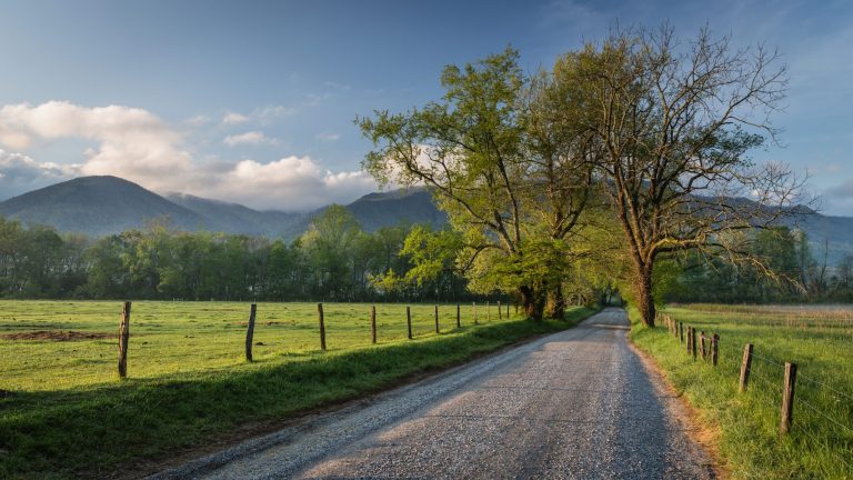 A quiet lane between grassy fields beneath the Smoky Mountains