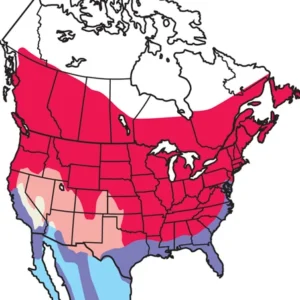 Common-Yellowthroat_map