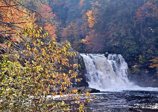 Abrams Falls Trail