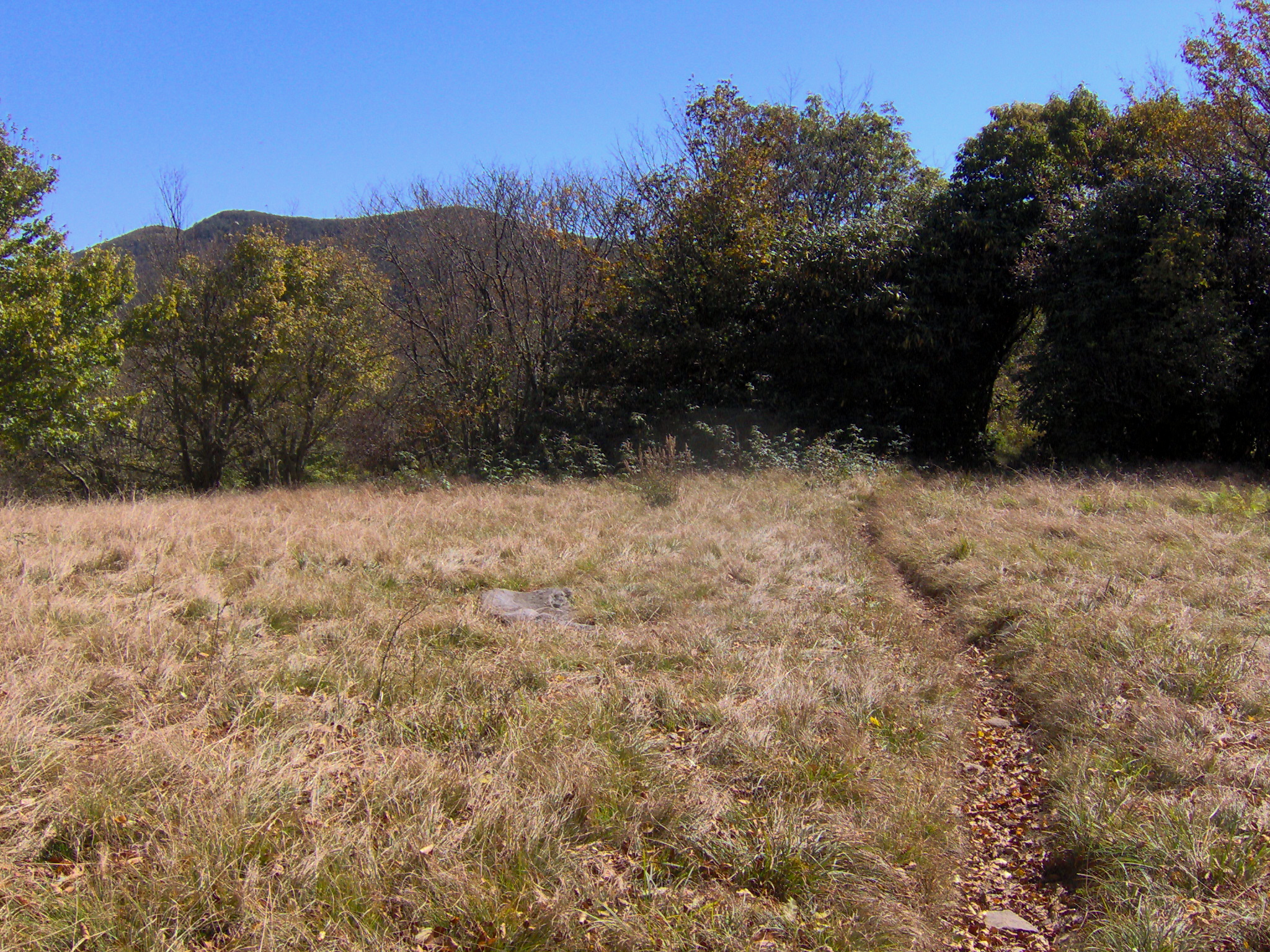 Appalachian Trail crossing the grassy meadow at Spence Field, with Thunderhead Mountain beyond